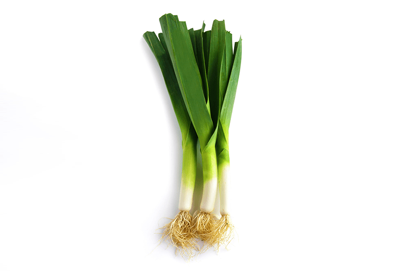 Global Onion Leek