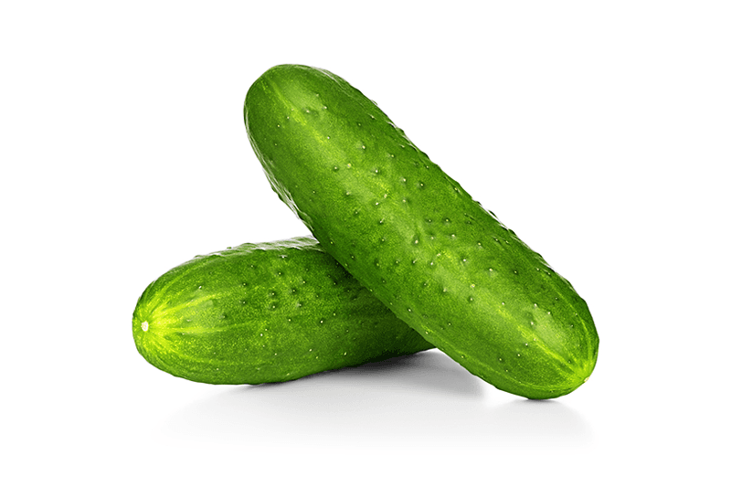 Millenium Cucumber