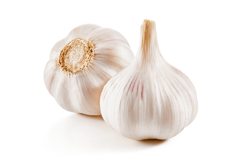 Millenium Garlic Taiwan