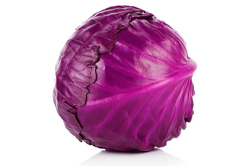 Millenium Red Cabbage