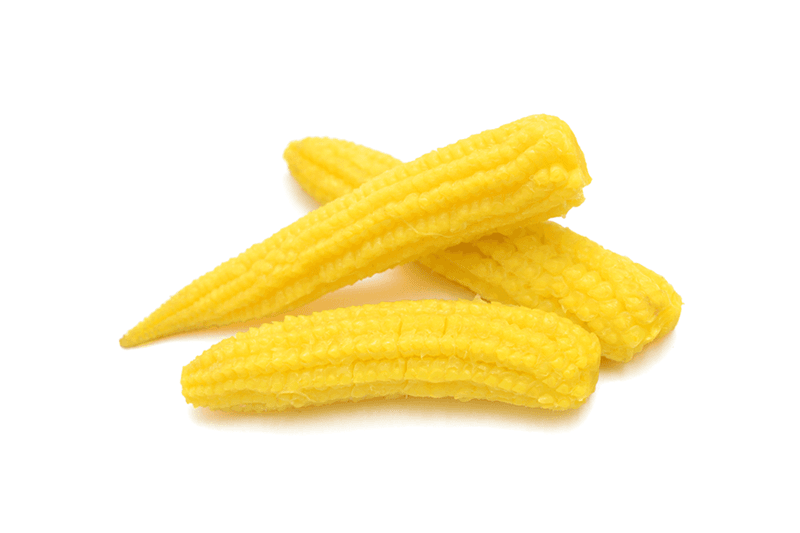 Millenium Young Corn
