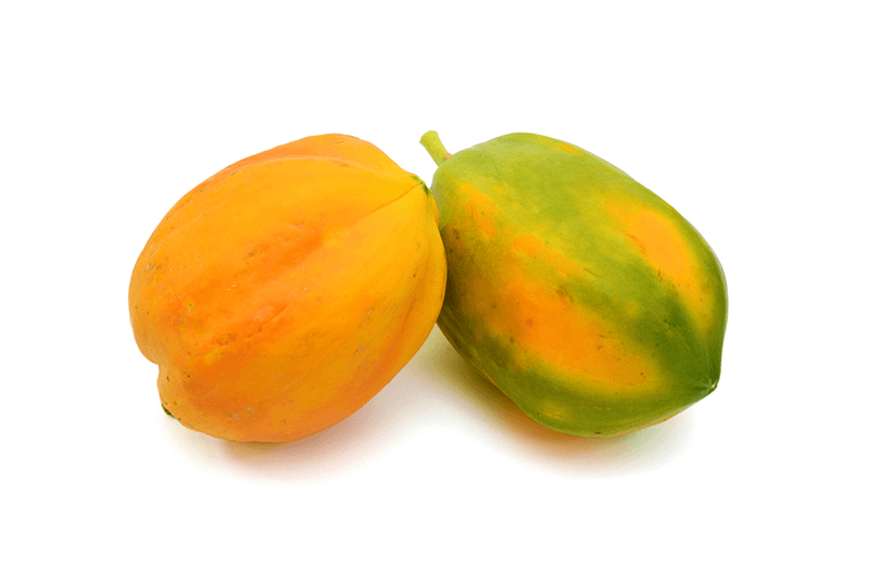 JED Red Lady Papaya