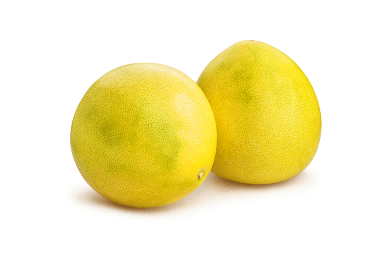 Harvest Pomelo