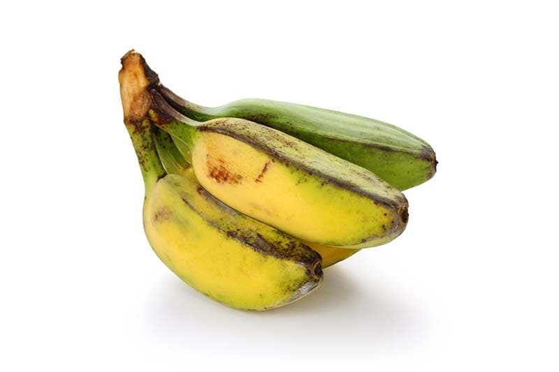 JED Saba Banana