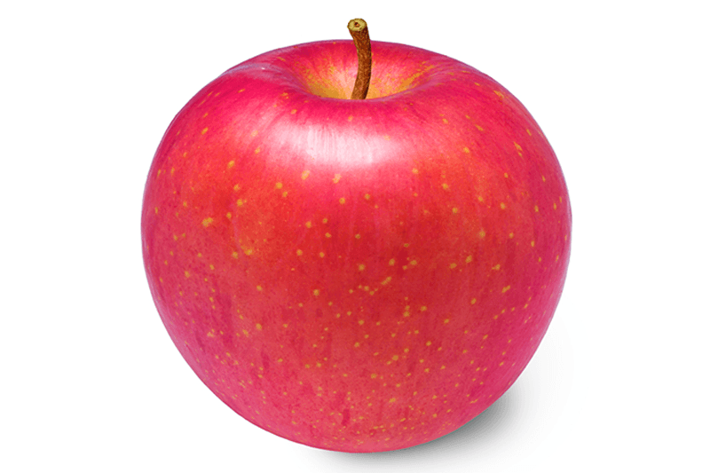 JED MKTG Alfa Fuji Apple
