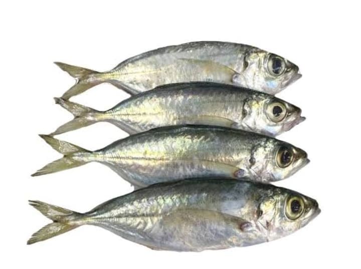 AJ Matang Baka1kg