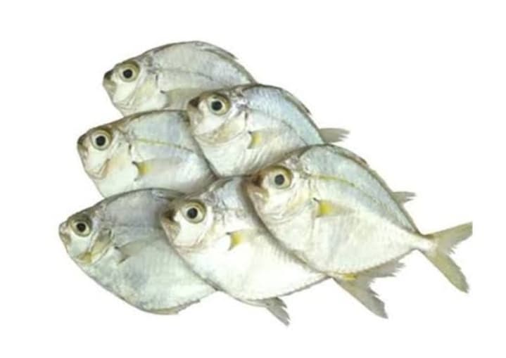 AJ SapSap 1kg
