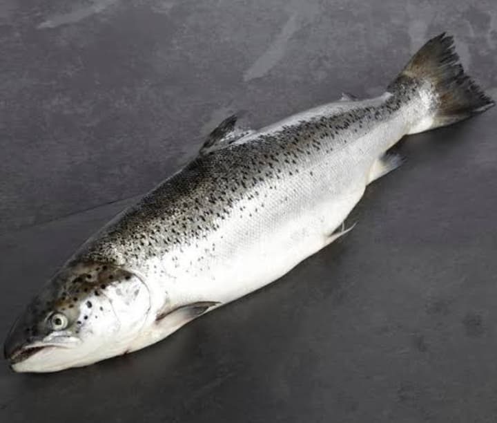 AJ Salmon Whole 500g