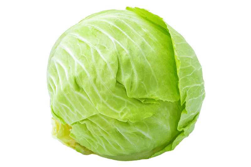 Millenium Cabbage