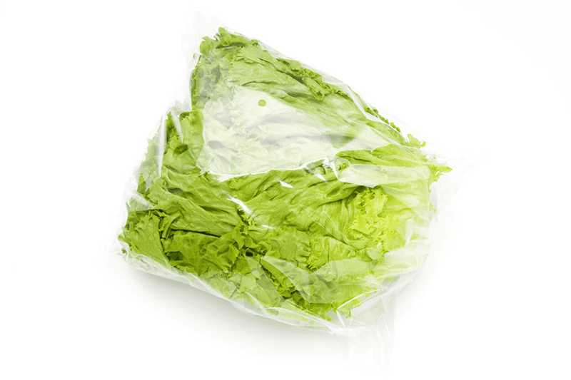 Millenium Green Lettuce