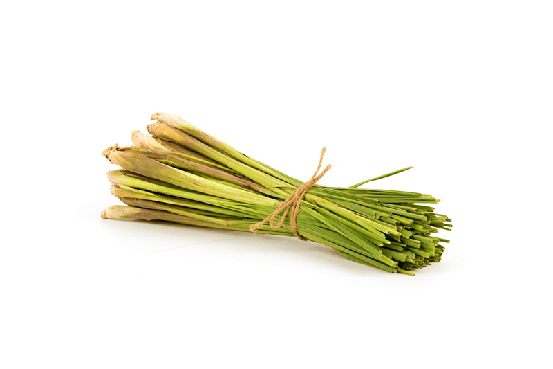Millenium Lemongrass Tanglad